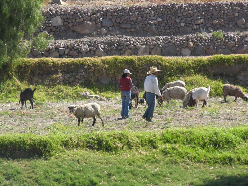 33arequipacountryside.jpg