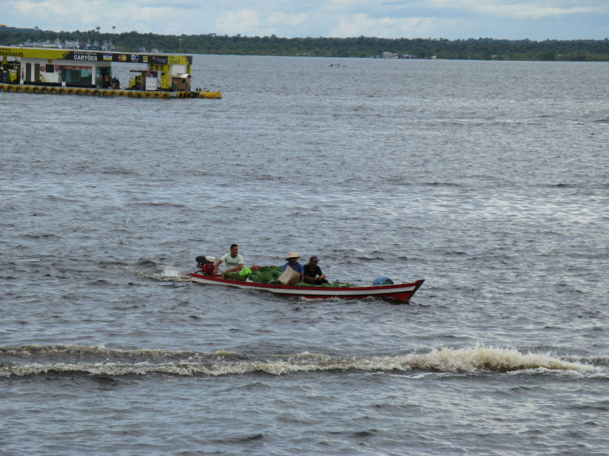 24manausbrazilcity.jpg