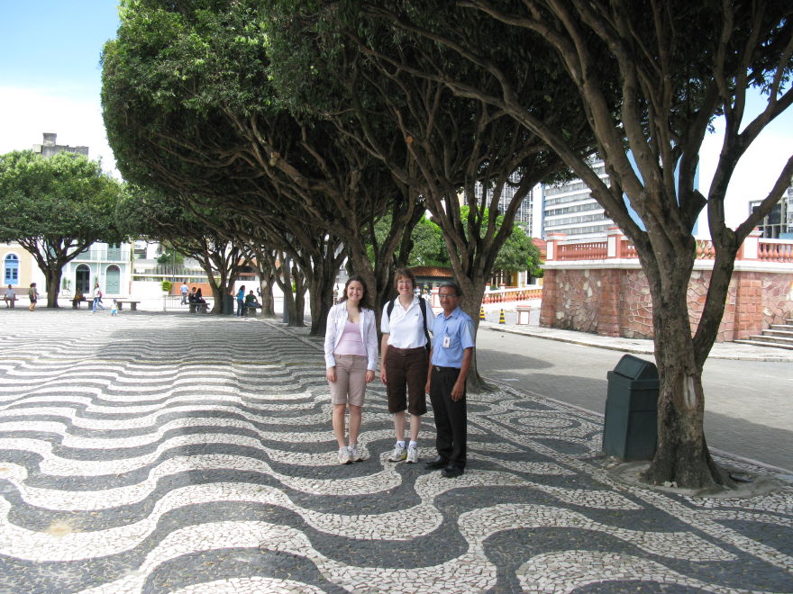 03manaus_teatro__amazonas_opera_house.jpg