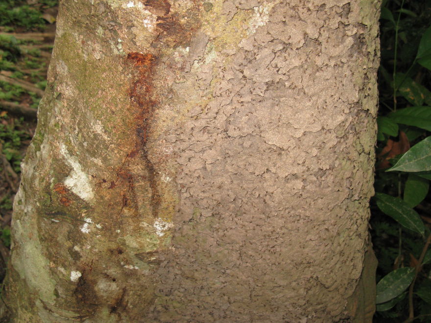 Click on image to return to index 0805171110vilaparaiso.jpg