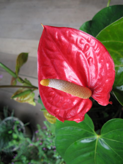 Click on image to return to index 0805171129vilaparaiso.jpg