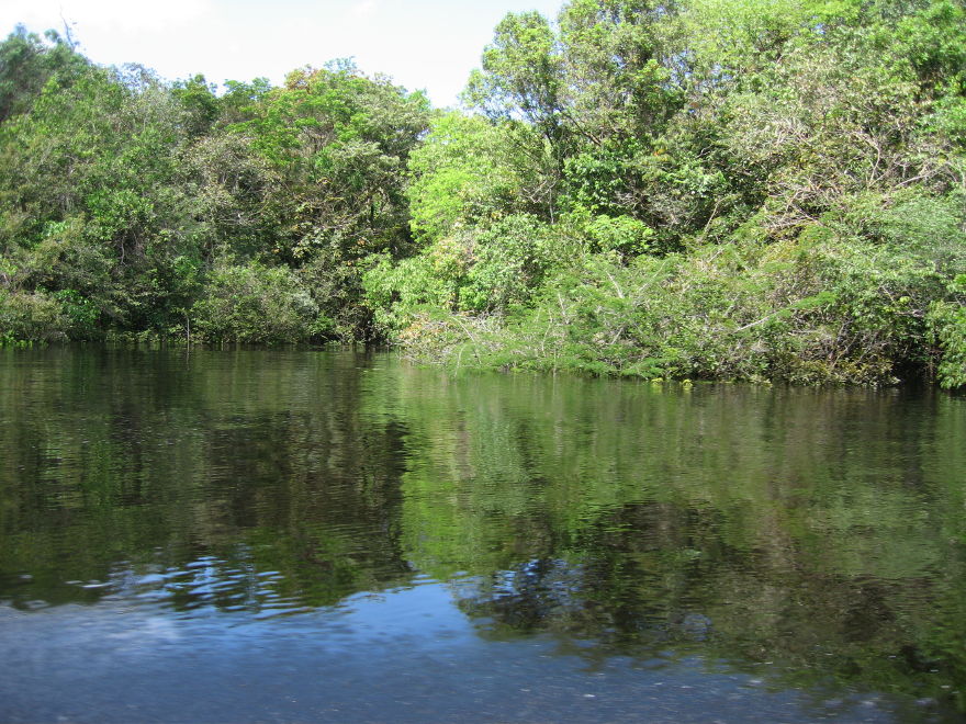 Click on image to return to index 19manaus_rionegro_amazon.jpg