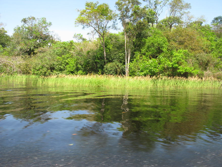 22manaus_rionegro_amazon.jpg