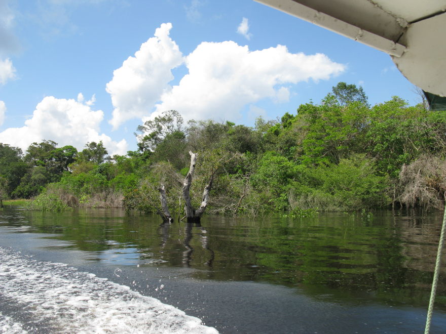 23manaus_rionegro_amazon.jpg
