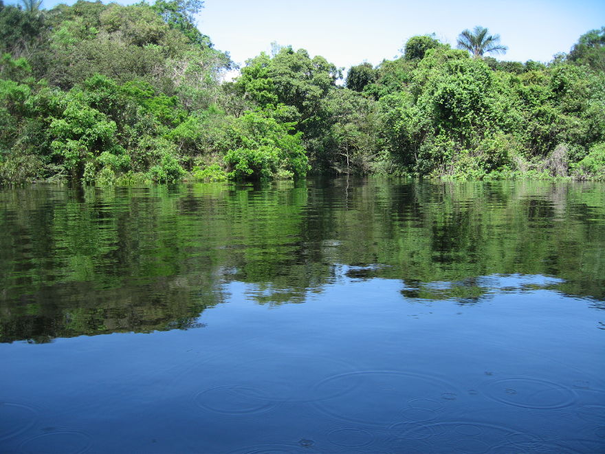 Click on image to return to index 24manaus_rionegro_amazon.jpg