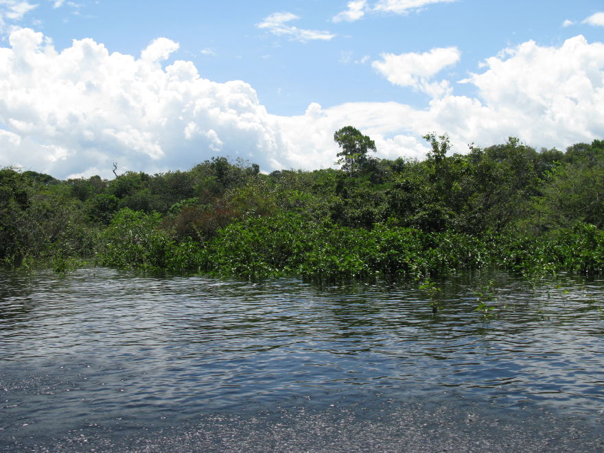 31manaus_rionegro_amazon.jpg