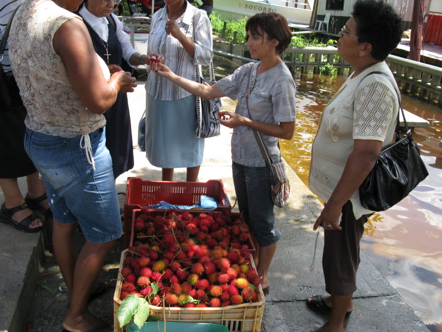 Click on image to return to index 45manaus_rionegro_amazon_marina_davi.jpg