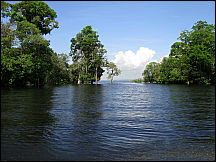 21manaus_rionegro_amazon.jpg