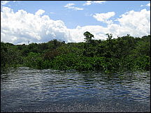 31manaus_rionegro_amazon.jpg