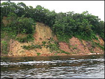 39manaus_rionegro_amazon.jpg