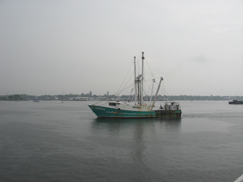 Click on image to return to index m0606230902scalloper.jpg