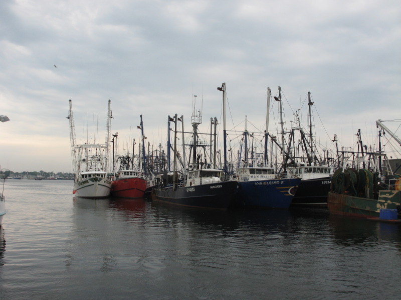 r060623fishingboats.jpg