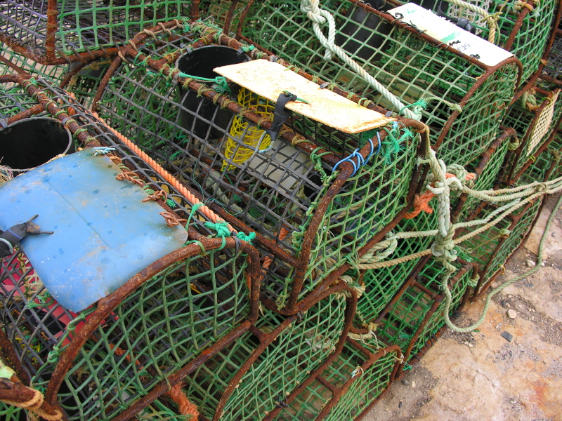 07obidos24mar05crabtraps.jpg