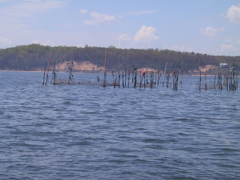254fishtrapchesbay.jpg
