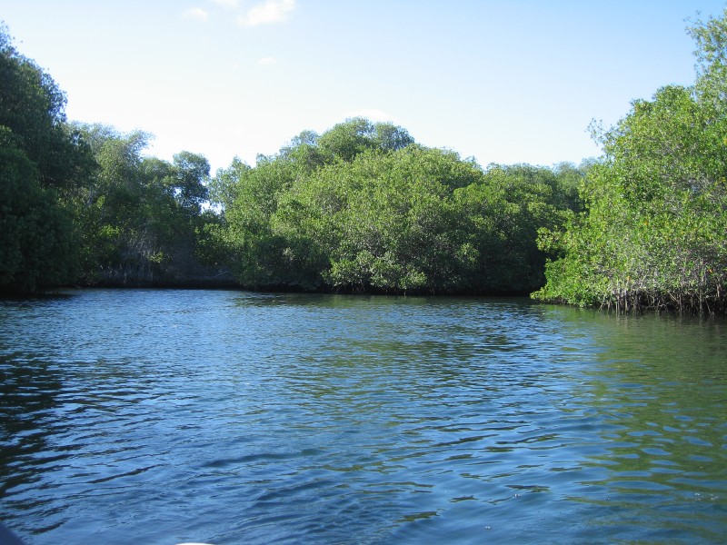 07elizabethbay.jpg