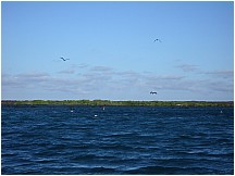 13elizabethbay.jpg