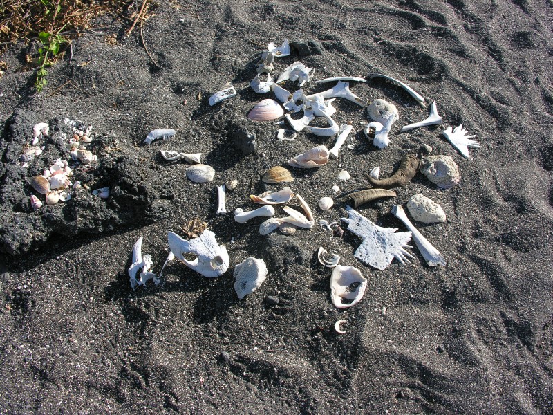 Click on image to return to index 02urvinabay.jpg