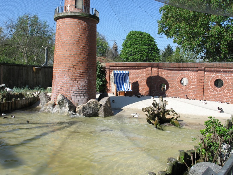 heidelburgzoo04.jpg