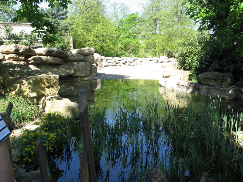 Click on image to return to index heidelburgzoo10.jpg