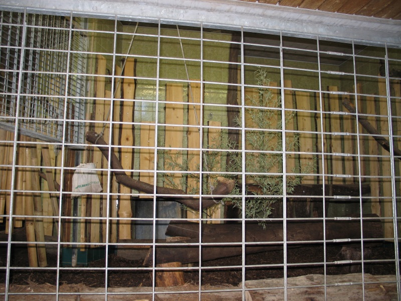 Click on image to return to index heidelburgzoo11.jpg