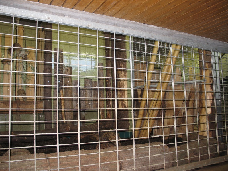 Click on image to return to index heidelburgzoo12.jpg