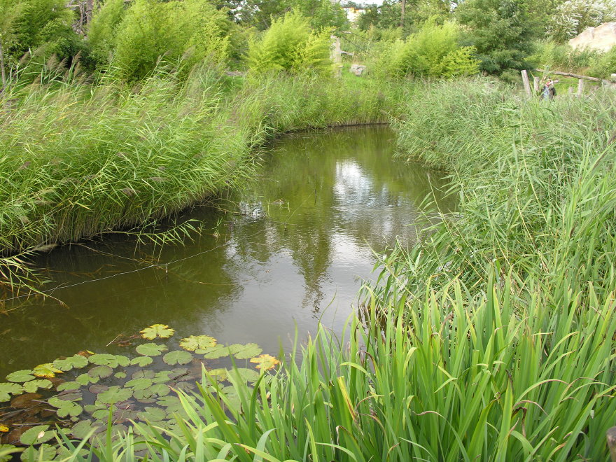 Click on image to return to index 08leipzigzoo.jpg