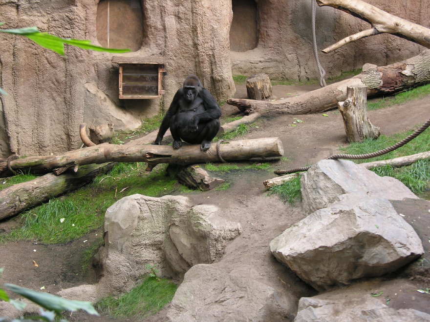10leipzigzoo.jpg