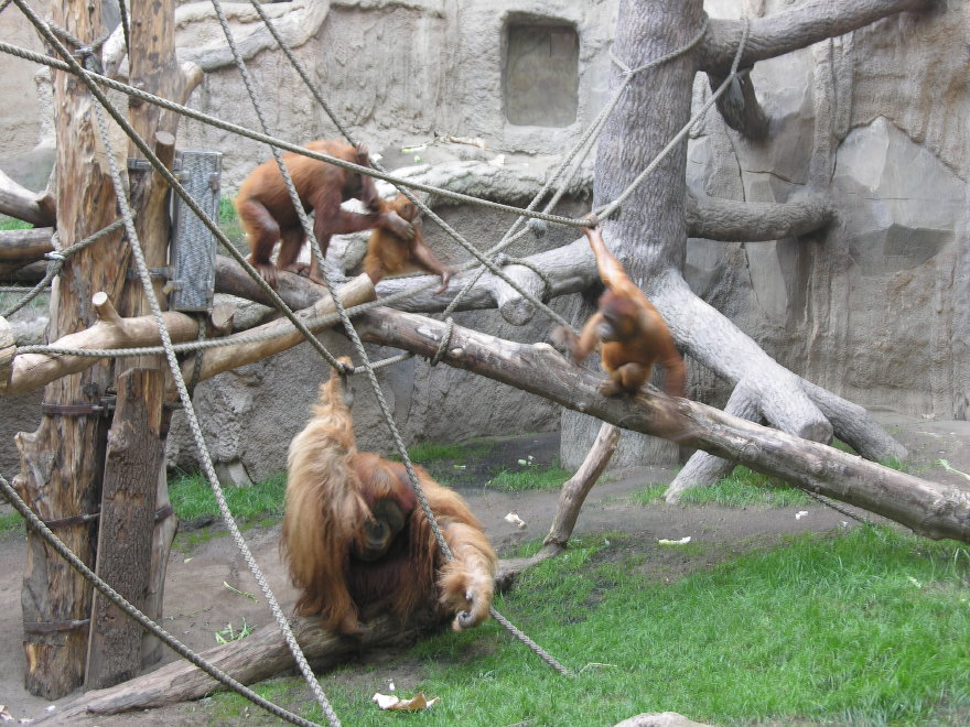 12leipzigzoo.jpg