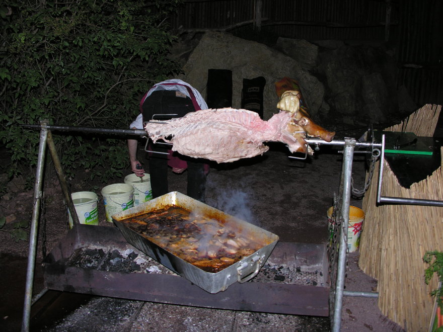 Click on image to return to index 29leipzigzoo.jpg