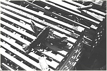 djjre_boat1971lobsterontrap2.jpg
