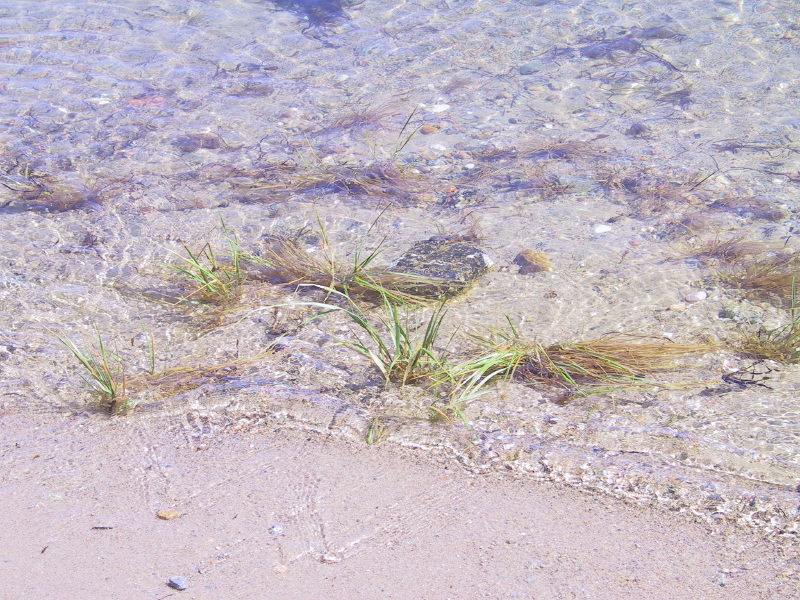 04mattapoisett.jpg