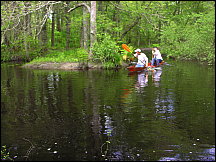 5060mattapoisettriverrace.jpg
