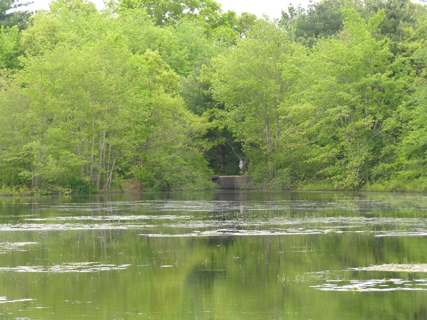 Click on image to return to index 4762mattapoisettriverrace.jpg