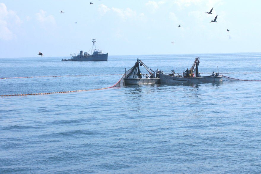 04menhadenfishing.jpg