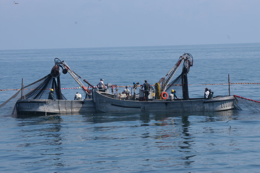 06menhadenfishing.jpg