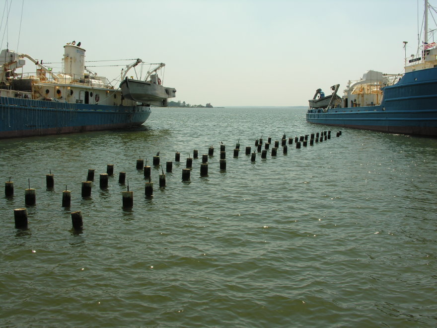 080507125929omegaprotein.jpg