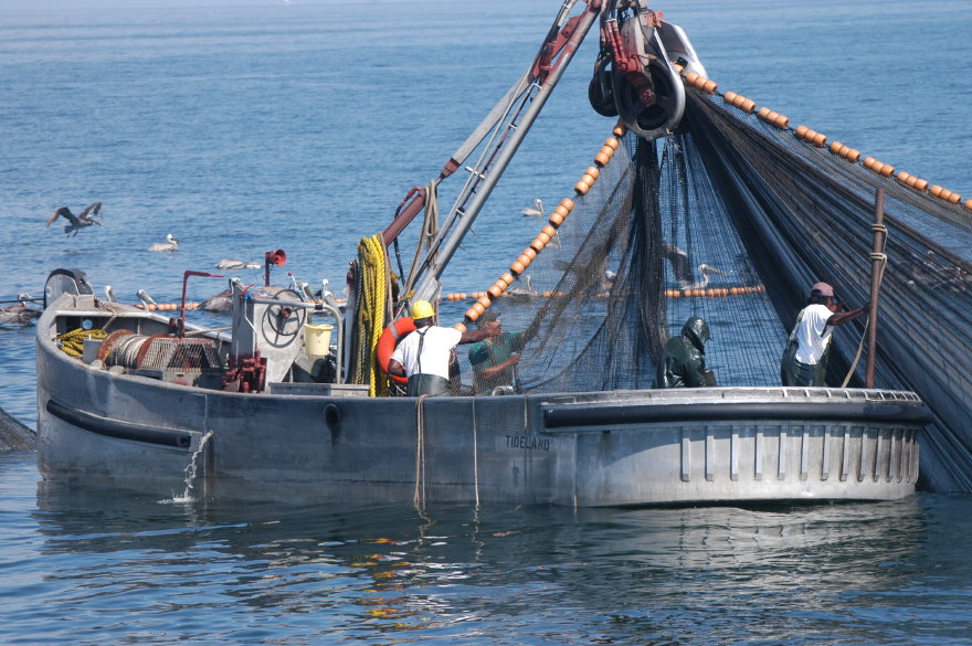 09menhadenfishing.jpg