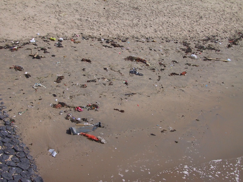 Click on image to return to index shoremarinedebris02.jpg