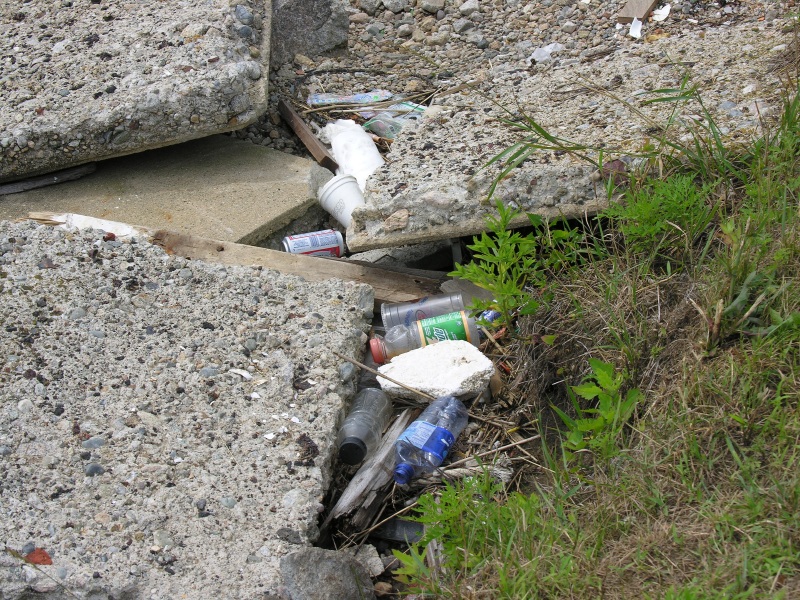 Click on image to return to index shoremarinedebris04.jpg