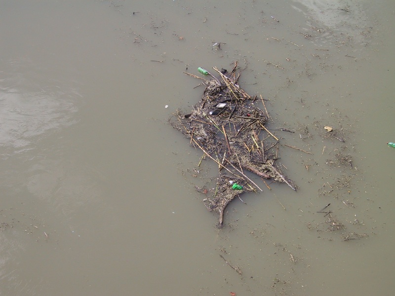 Click on image to return to index tiberriverpollution10.jpg