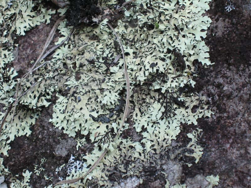 39machupichulichen.jpg