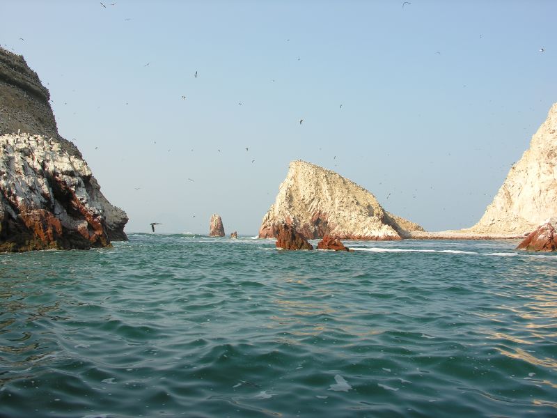 0605260915piscoislespark_2.jpg