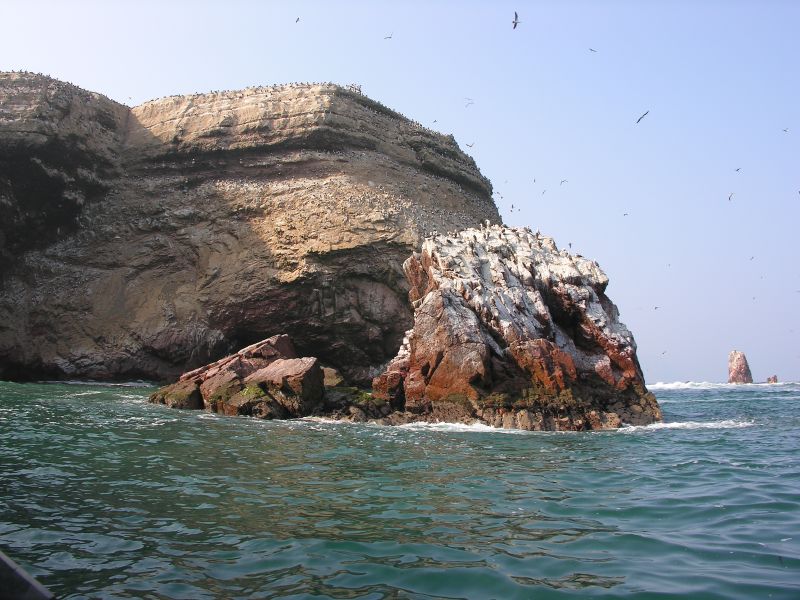 0605260915piscoislespark_3.jpg