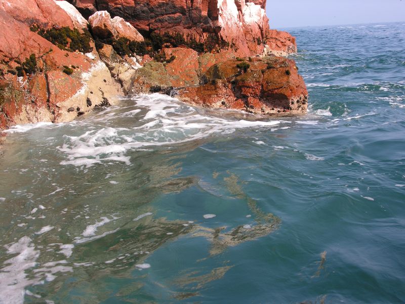 0605260918piscoislespark_5.jpg