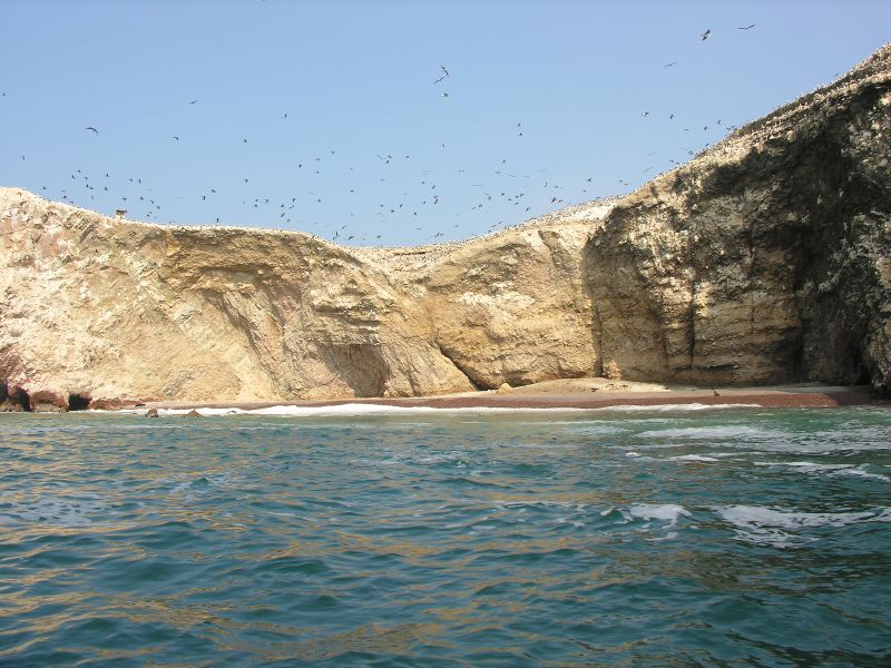 0605260944piscoislespark_2beach.jpg