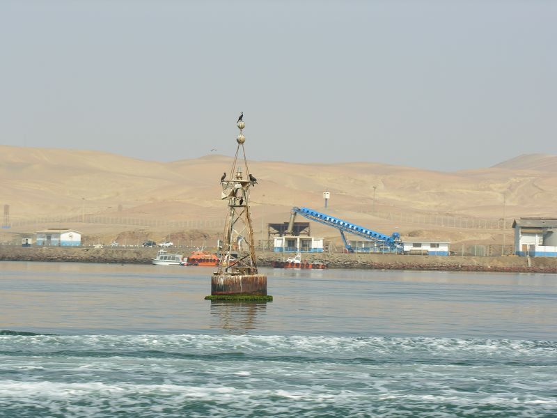 0605261009piscoislespark_2buoy.jpg