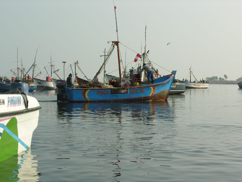 09piscofishingboatselchaco.jpg