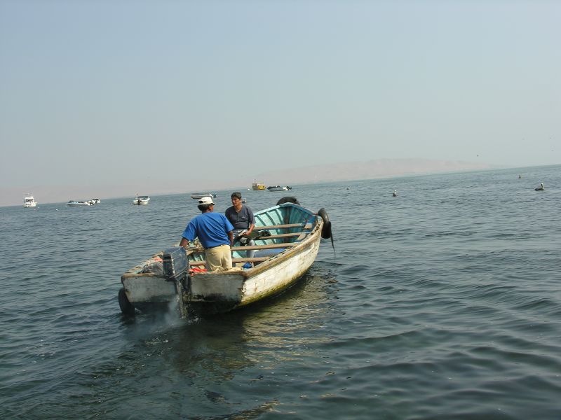 28piscoskiffelchaco.jpg