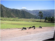 05sacredvalley_.jpg