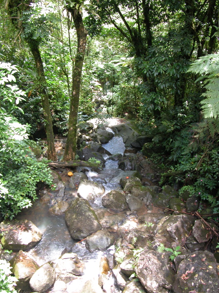 Click on image to return to index 0408_worldrivers18elyunque.jpg